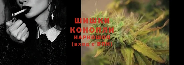 шишки Баксан