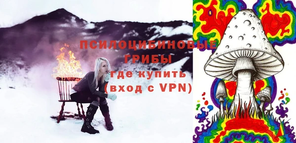 винт Аркадак