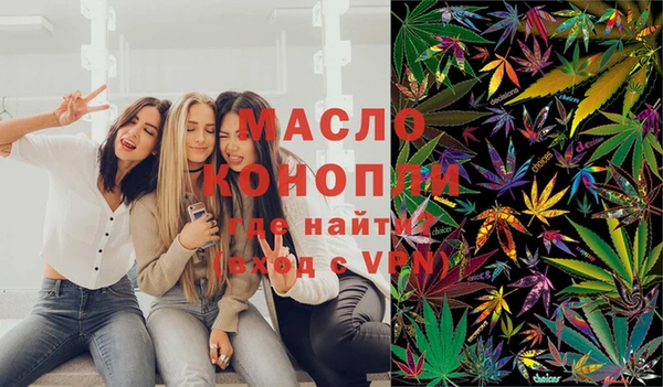 индика Ельня