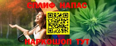 прущие грибы Можга