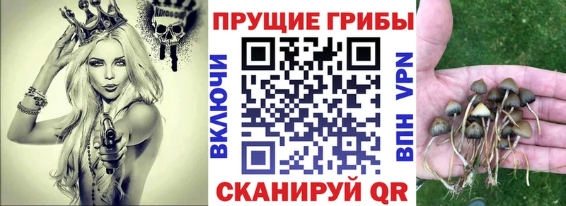 Галлюциногенные грибы мухоморы  мориарти телеграм  Гурьевск 
