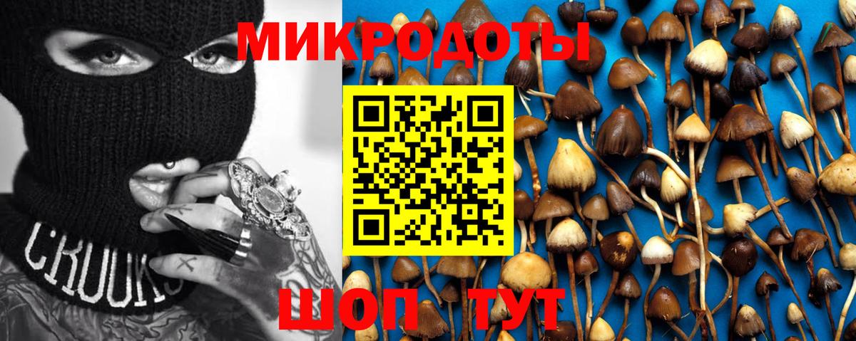Галлюциногенные грибы мухоморы  Вход с VPN  Гурьевск 